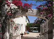 Welcome to Molly Todd, Realtor