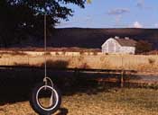 Welcome to Molly Todd, Realtor