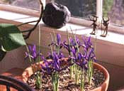 Welcome to Molly Todd, Realtor